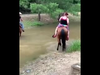 in this situation, it's only a pity for the horse